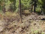 1601 Bear Trail Loop - Photo 5