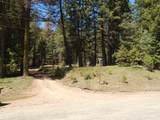 1601 Bear Trail Loop - Photo 6