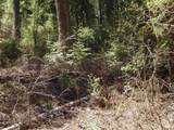 1601 Bear Trail Loop - Photo 8