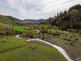 259 Cottonwood Creek Ranch - Photo 10