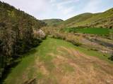 259 Cottonwood Creek Ranch - Photo 12