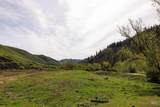 259 Cottonwood Creek Ranch - Photo 18