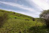 259 Cottonwood Creek Ranch - Photo 23