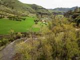 259 Cottonwood Creek Ranch - Photo 4