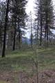 TBD Hot Springs Road - Photo 6