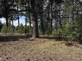 1483 Pine Lakes Ranch Rd - Photo 1