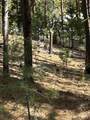 1483 Pine Lakes Ranch Rd - Photo 15