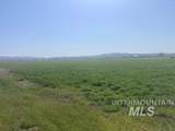 TBD Cove Road - Photo 15