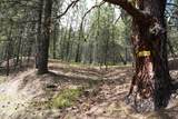 Lot 28 Fire Ridge Rd. - Photo 1