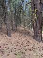 Lot 28 Fire Ridge Rd. - Photo 5
