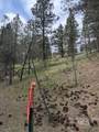 Lot 28 Fire Ridge Rd. - Photo 6