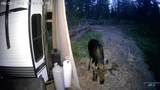 610 Clouder Rd - Photo 31