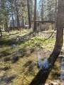 12 Woods Ln - Photo 12