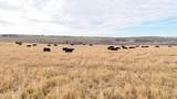 TBD Highway 30 - Photo 18
