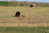 TBD Highway 30 - Photo 19