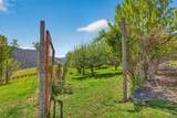 213 Little Salmon Overlook - Photo 37