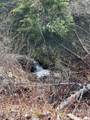  Quartz Creek Rd. - Photo 2