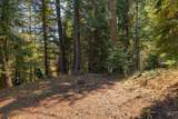 2126 Lydia Drive - Photo 11