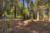 2126 Lydia Drive - Photo 16