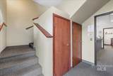 203 Fort St - Photo 9
