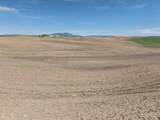TBD Scoville Rd, +/- 25 Ac - Photo 13