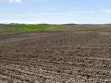 TBD Scoville Rd, +/- 25 Ac - Photo 16