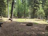 1714 Grouse Trail - Photo 9