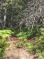 NNA-I Silver Valley Road - Photo 10