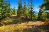 NNA-I Silver Valley Road - Photo 7