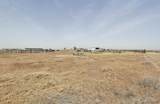 10289 Desert Duck Ave - Photo 25