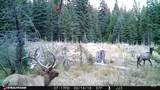 79250 Lookout Mountain Rd - Photo 5