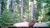 79250 Lookout Mountain Rd - Photo 7