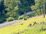 624 Clear Creek Road - Photo 3