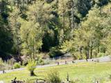 624 Clear Creek Road - Photo 31