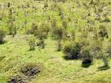 624 Clear Creek Road - Photo 35
