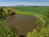 1611 Little Bear Ridge Rd. - Photo 45