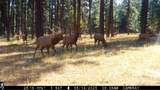 1881 Mill Rd. - Photo 8