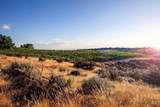 5446 Highway 16 - Photo 33
