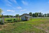 6423 Wright Lane - Photo 39