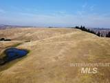 TBD Ditch Creek Road - Photo 10