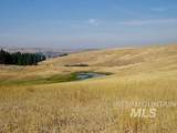 TBD Ditch Creek Road - Photo 2
