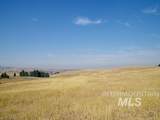 TBD Ditch Creek Road - Photo 5