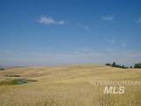 TBD Ditch Creek Road - Photo 7