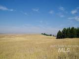 TBD Ditch Creek Road - Photo 1