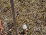 TBD Ditch Creek Road - Photo 11