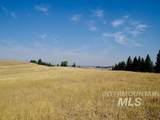 TBD Ditch Creek Road - Photo 12