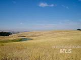 TBD Ditch Creek Road - Photo 3