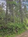TBD Caseys Rd - Photo 6