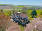 2134 Hemlock Ave - Photo 45