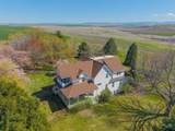 2134 Hemlock Ave - Photo 47